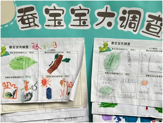 【园所动态•燕南园】  你好，蚕宝宝！|立顿北大燕南幼儿园大大段班本课程 